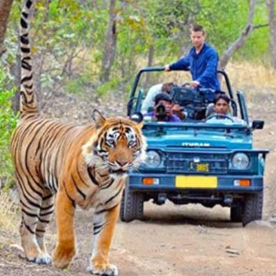 Best Budget Hotel in Leh Ladakh