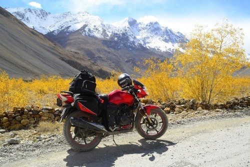 Best Budget Hotel in Leh Ladakh