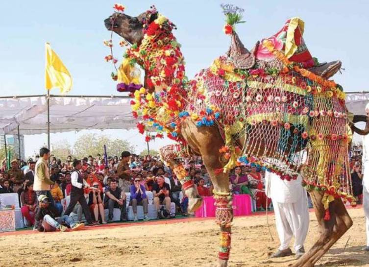 adventure camping in Rajasthan